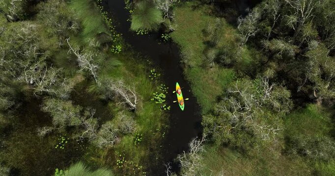 Travel Kayaking Paddling Transparent Canoe Kayak in peat swamp forest wetlands at, Rayong botanic garden, A Wetland Sanctuary of Eastern Thailand, aerial view 4k video.