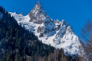 Majestic snow-capped mountain peaks towers above dense forest, contrasting against clear blue sky, showcasing nature's grandeur and tranquility.Karachay-Cherkessia. Dombay 2025.