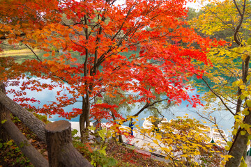 Bishamon-numa Pond is the largest and most popular pond. The colorful pond reflecting sunlight is a highlight of a visit to Goshikinuma Ponds, located in the Urabandai area, Fukushima, Japan
