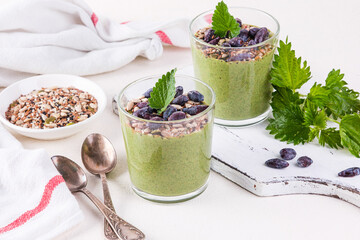 Healthy eating, lifestyle, veganism, alkaline diet, vegetarian concept. Green smoothies from nettle...