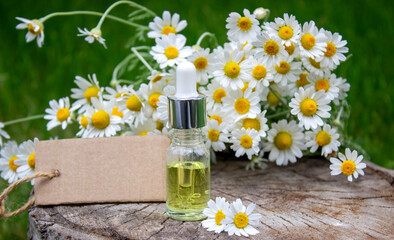 Chamomile Essential Oil Bottle with Fresh Flowers