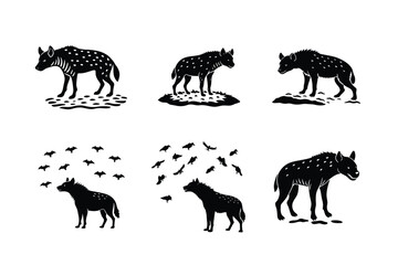 Hyenas different activities