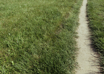Narrow path on a green meadow with freshly cut grass, concept of direction, choice, and journey through peaceful natural countryside landscape