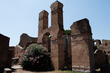 Ancient brick ruins with arches and a blooming pink oleander bush under a clear blue sky