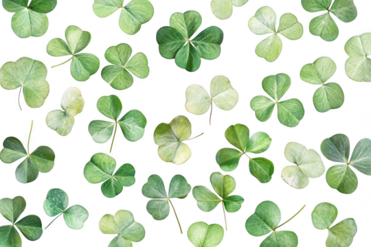 Shamrock clover leaf pattern isolated on transparent background
