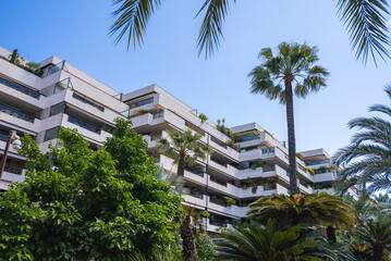 Fototapeta premium A modern residential or hotel building in Cannes, France, surrounded by palm trees and greenery. Balconies with plants and a clear blue sky complete the scene.
