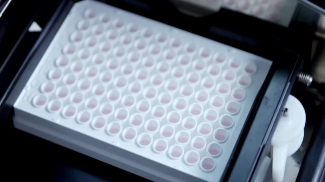Automated Liquid Handling System Progress 96 wells plate in quantitative PCR machine for DNA quantification in a biotechnology laboratory