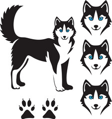Siberian husky dog illustration with paw prints and husky head elements