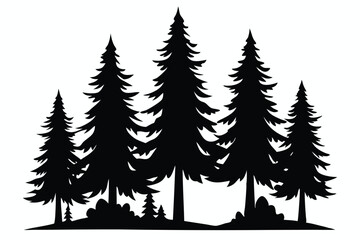 Obraz premium Majestic silhouette of evergreen trees in a forest