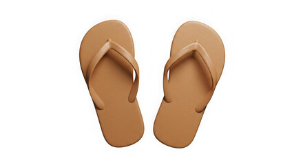 Tan Flip-Flops: Summer Sandals, Beach Footwear, Vacation Essentials