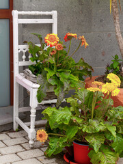 Gartenstuhl mit Blumen