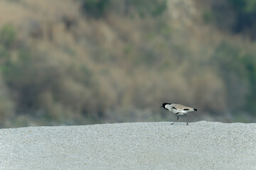 River rapping on sand