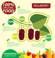 Mulberry. Infographic template. vector illustration.