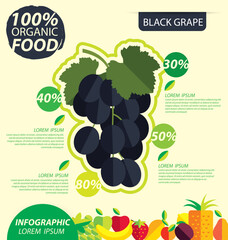 Black grape. Infographic template. vector illustration.