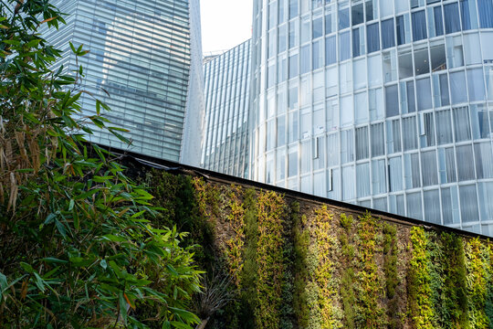 Facade with full vertical greenery facing modern towers in Mexico City, clean design concept for urban sustainability and environmental planning