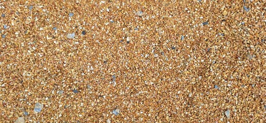 Photograph of Pebbles on the Ground