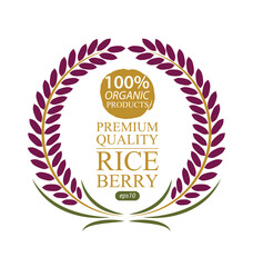 Rice berry. Vector illustration.
