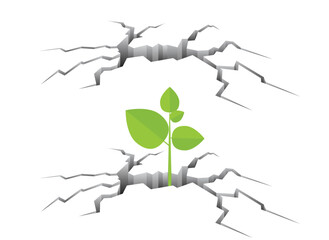 A vibrant green sprout grows through cracks in the ground, symbolizing resilience, hope, and new beginnings. Nature perseveres against the odds.