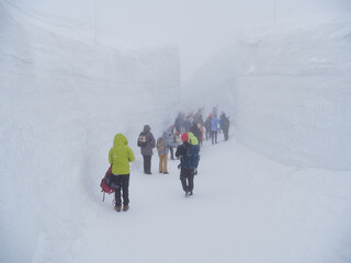 吹雪の中で観光名所立山黒部アルペンルートの室堂にいる観光客の姿