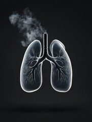 Human Lungs and Smoke
