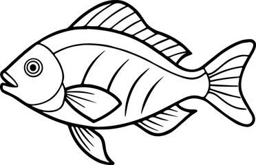 bream fish outline vector illustration line art
