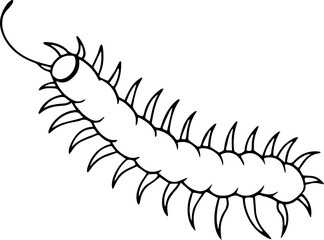 Bristle Worm outline vector illustration line art