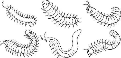 Set of Bristle Worm outline vector illustration line art