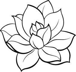 Magnolia flower outline vector illustration line art