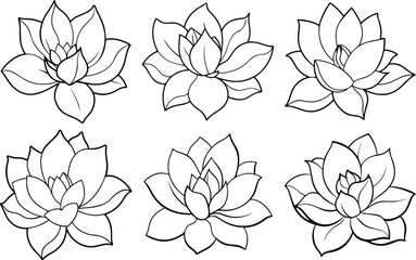Set of Magnolia flower outline vector illustration line art