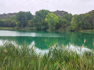 Lake in nature