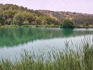 Lake in nature