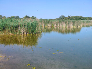 Lake in nature