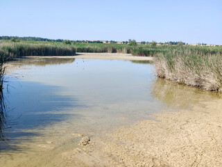 Lake in nature