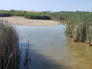 Lake in nature