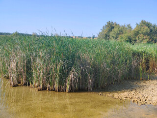 Lake in nature