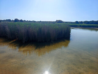 Lake in nature