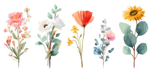 Set watercolor elements of collection garden flowers; leaves; branches. Botanic; illustration, eucalyptus; Wedding floral wedding invitation, greeting card, print design.