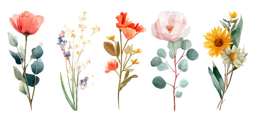 Watercolor floral illustration set colorful flower elements vector. floral of wildflower, leaf branch, foliage on white background bouquets Flowers watercolor for invitation, card, design. 
