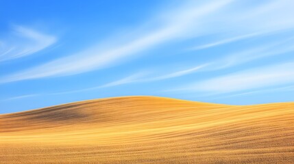 Golden field under a cerulean sky.