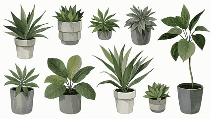 Botanical Hush Indoor plants isolated watercolor vector illustration svg