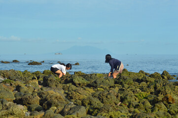 Two teens playfully splash water while crouching among mossy beach rocks, enjoying the coolness of the tide under the morning sun