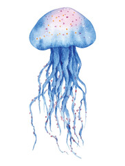 jellyfish watercolor vector illustration, underwater ocean animal art isolated on white background