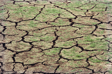 drought cracked earth water shortage