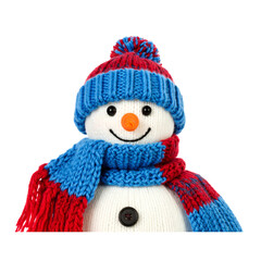 A cheerful snowman wearing a red and blue knitted hat and matching scarf with a carrot-shaped nose and button eyes.