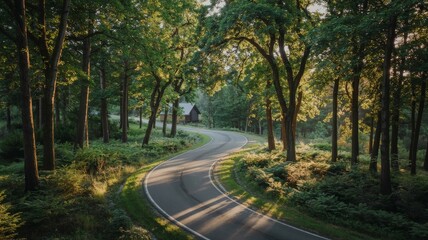 Winding road through lush green forest at sunset