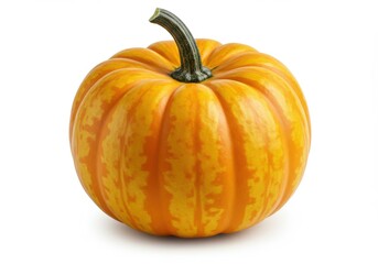 Fototapeta premium Yellow and orange striped pumpkin with green stem