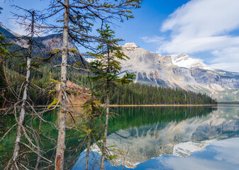 Stunning view of Emerald Lake in Yoho National Park with snow-capped mountains and pine forests with reflection on water in Alberta, Canada