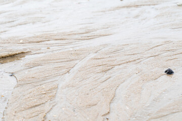 A beach with a lot of sand and a small rock