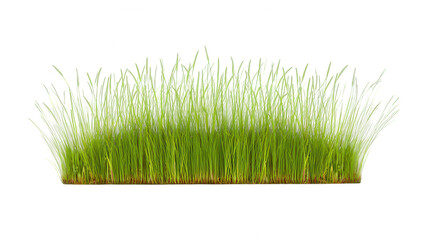 Isolated Patch of Green Grass Vibrant Spring Growth on White Background for Eco-Friendly Designs