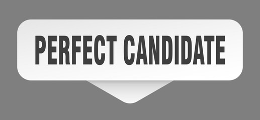 perfect candidate sticker. perfect candidate sign isolated on gray background